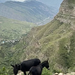 Фото отзыва