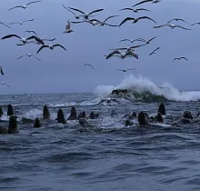 ополнительное фото тура 