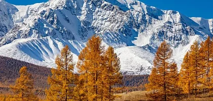 Фотопутешествие на Горный Алтай из Москвы, золотая осень, 7 дней. Личный опыт