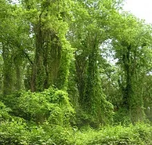 ополнительное фото тура 