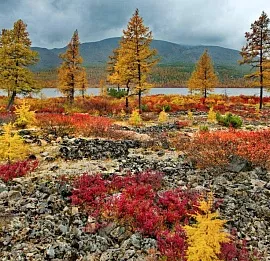 Тур Северная осень: путешествие по Магаданской области