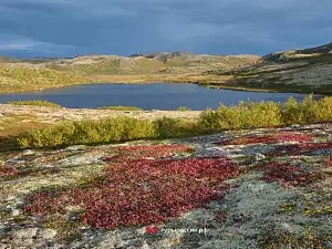 Осень в Териберке