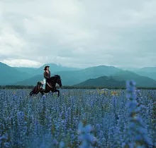 ополнительное фото тура 