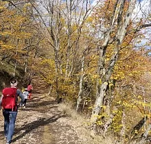 ополнительное фото тура 