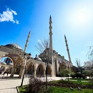 Фото отзыва