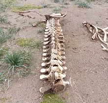 ополнительное фото тура 