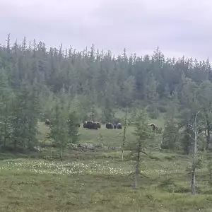 Фото отзыва