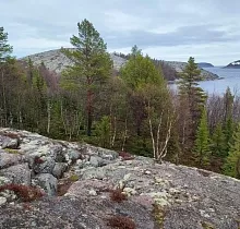 ополнительное фото тура 