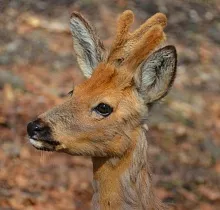 Фото дня 2 тура Владивосток лайт!