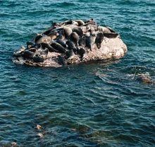 ополнительное фото тура 