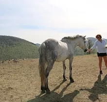 ополнительное фото тура 