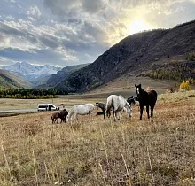 ополнительное фото тура 