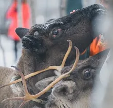 ополнительное фото тура