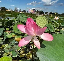 ополнительное фото тура 