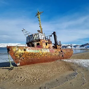 Фото отзыва