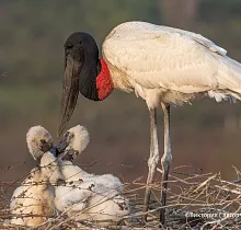 ополнительное фото тура 