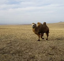 ополнительное фото тура 