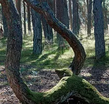 ополнительное фото тура 