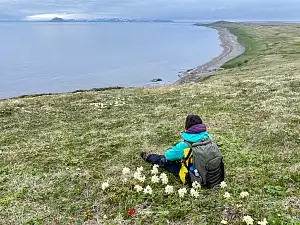 Остров Курильской гряды - Шумшу