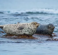 ополнительное фото тура 