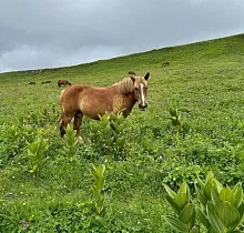 ополнительное фото тура 
