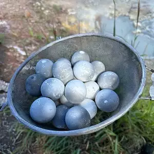 Фото отзыва