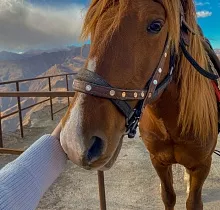 ополнительное фото тура 