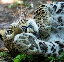 ополнительное фото тура 