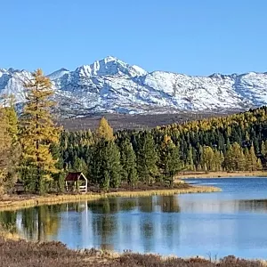 Фото отзыва