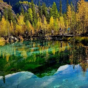 Фото отзыва