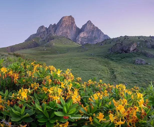 Изображение статьи Отдых в Республике Ингушетия: как добраться, где жить, что посмотреть Туры России