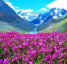 ополнительное фото тура 