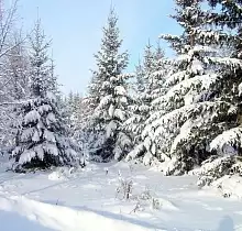 ополнительное фото тура 