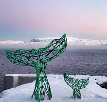 ополнительное фото тура 