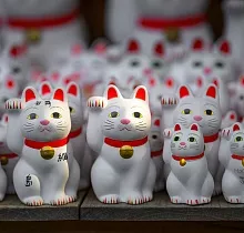 ополнительное фото тура 