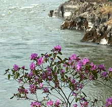 ополнительное фото тура 