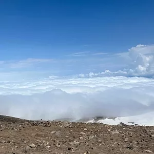 Фото отзыва