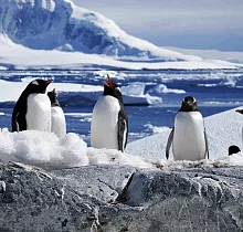 ополнительное фото тура 