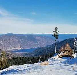 Тур Горнолыжные курорты Сибири.