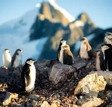 ополнительное фото тура 