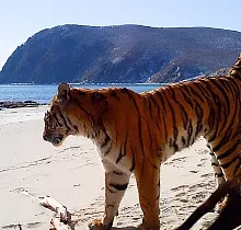 ополнительное фото тура 