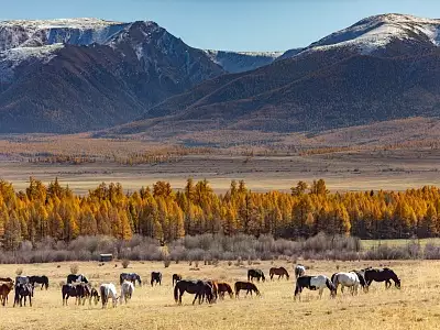 Осень на Алтае