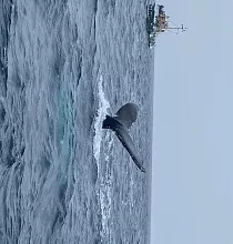 ополнительное фото тура 