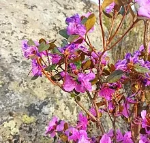 ополнительное фото тура 