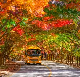 Тур Южная Корея | Сеул + Пусан + национальные парки