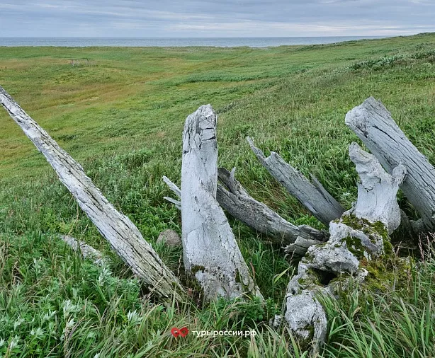 Изображение статьи Национальный парк «Берингия» — как добраться, где жить, что посмотреть Туры России