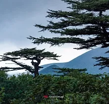 ополнительное фото тура 