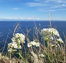 ополнительное фото тура 