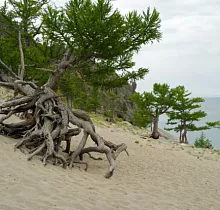 ополнительное фото тура 