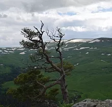 ополнительное фото тура 